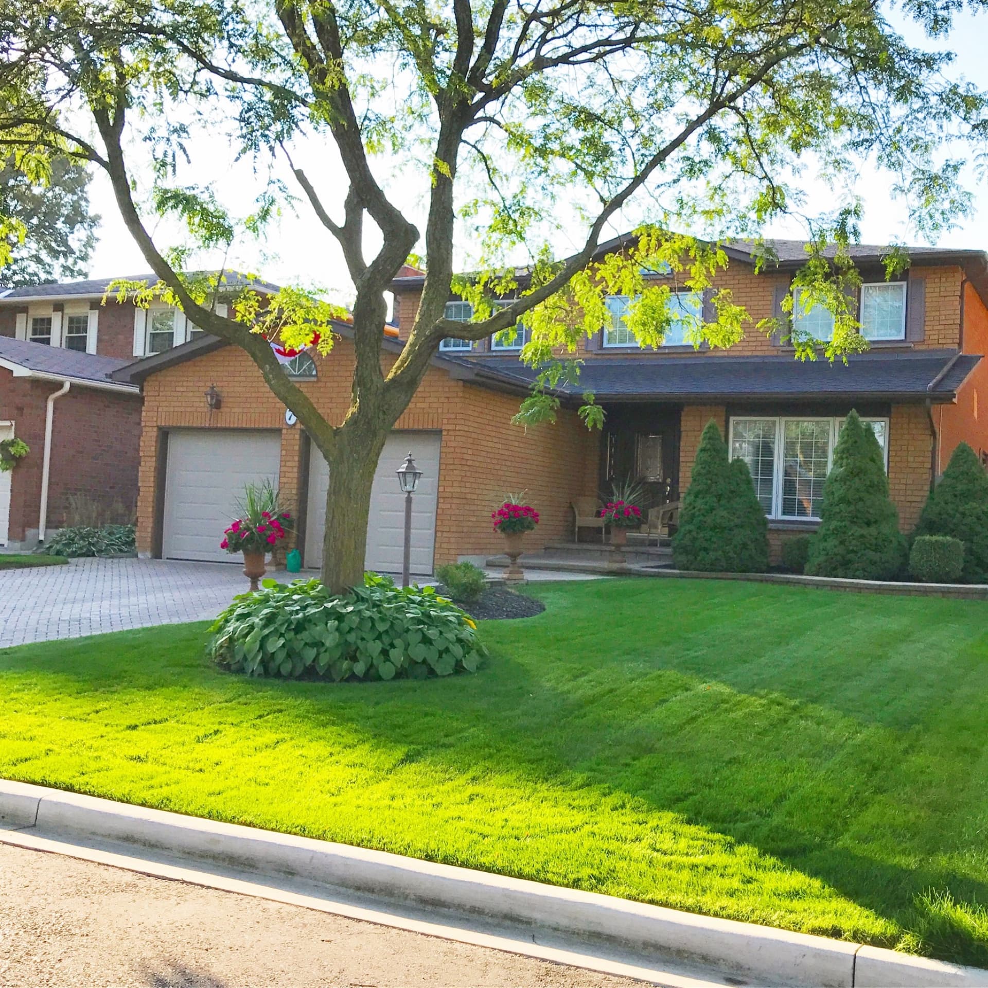 Lawn Care & Maintenance service in Scarborough, Dawn Till Dusk Landscaping