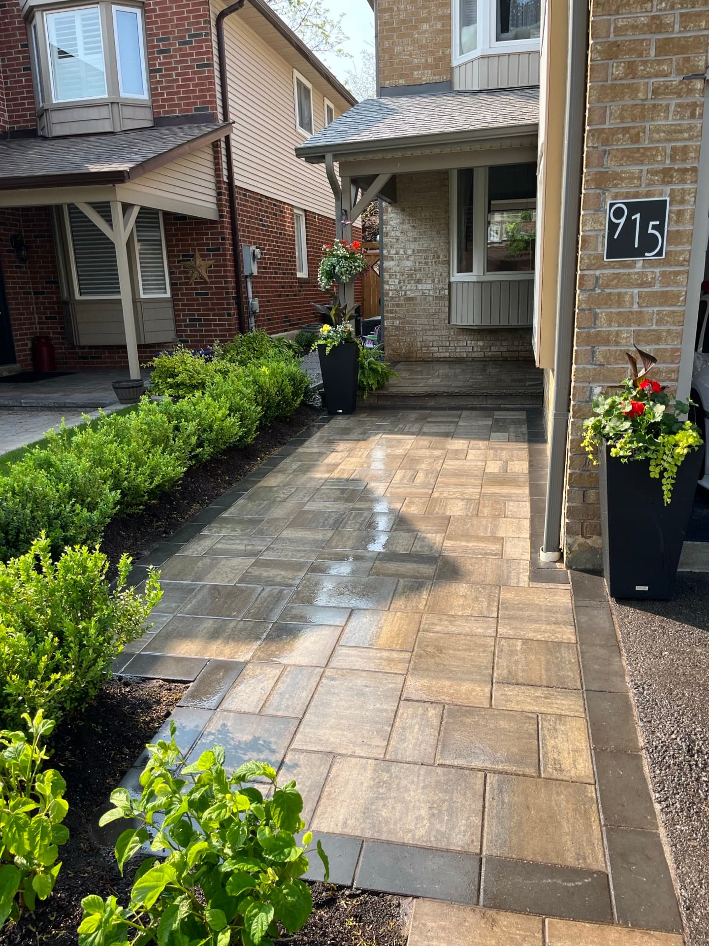 Manicured residential lawn