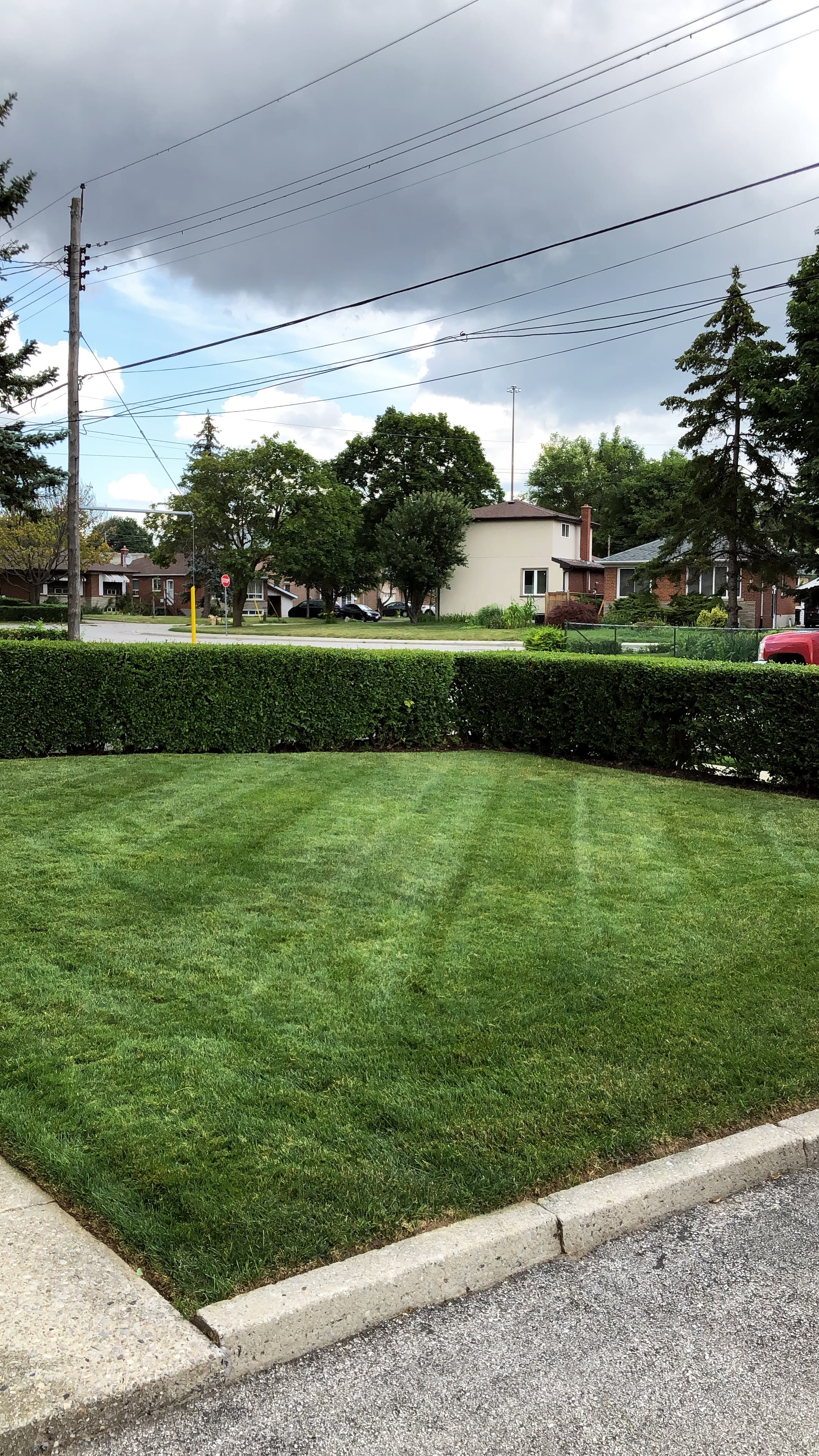 Cleanup & General project 1 in Scarborough — Dawn Till Dusk Landscaping