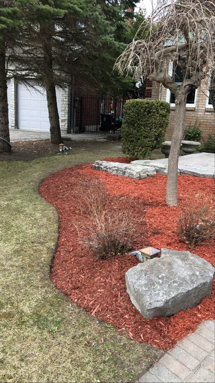 Cleanup & General project 2 in Scarborough — Dawn Till Dusk Landscaping