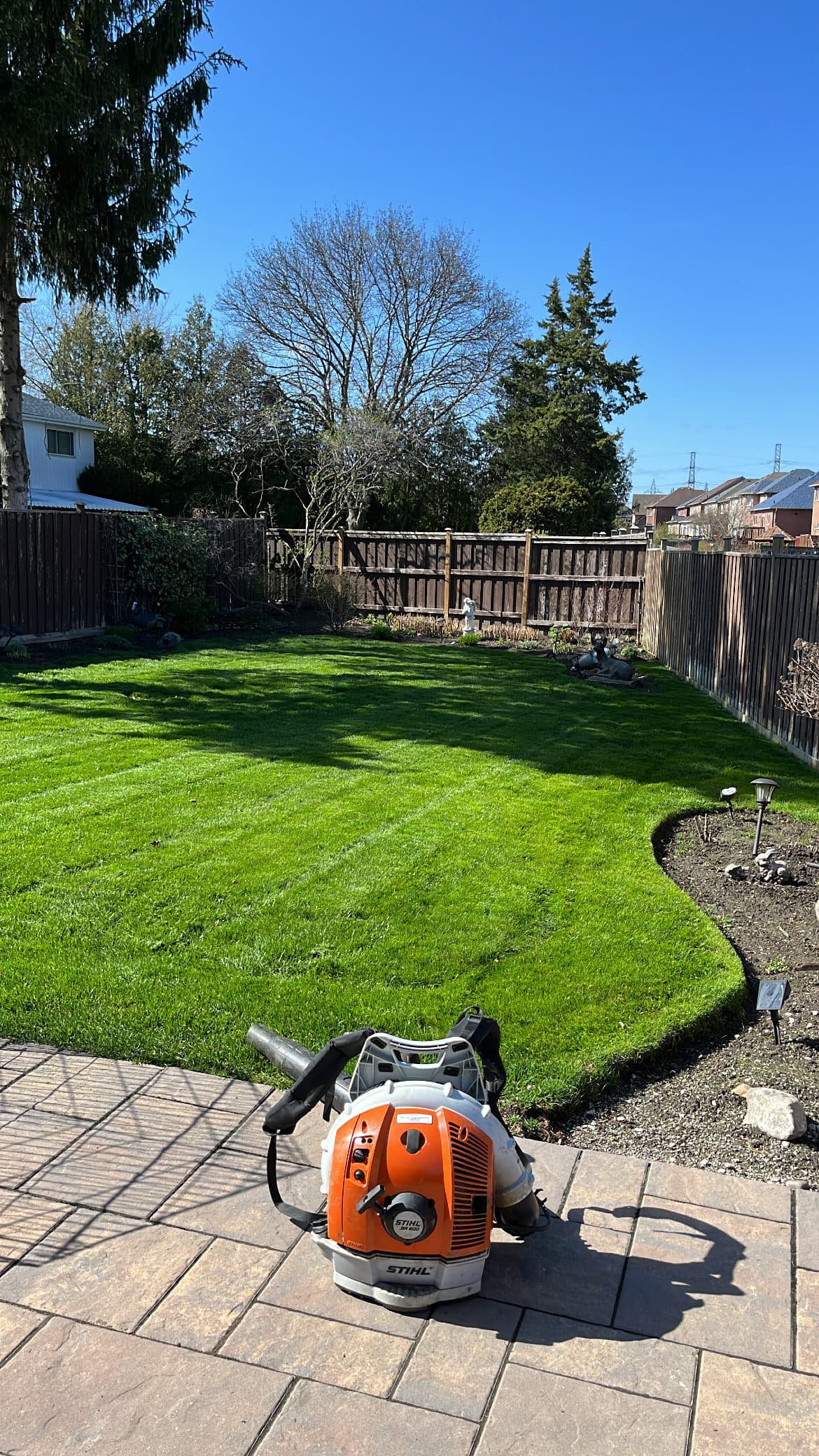 Cleanup & General project 6 in Scarborough — Dawn Till Dusk Landscaping