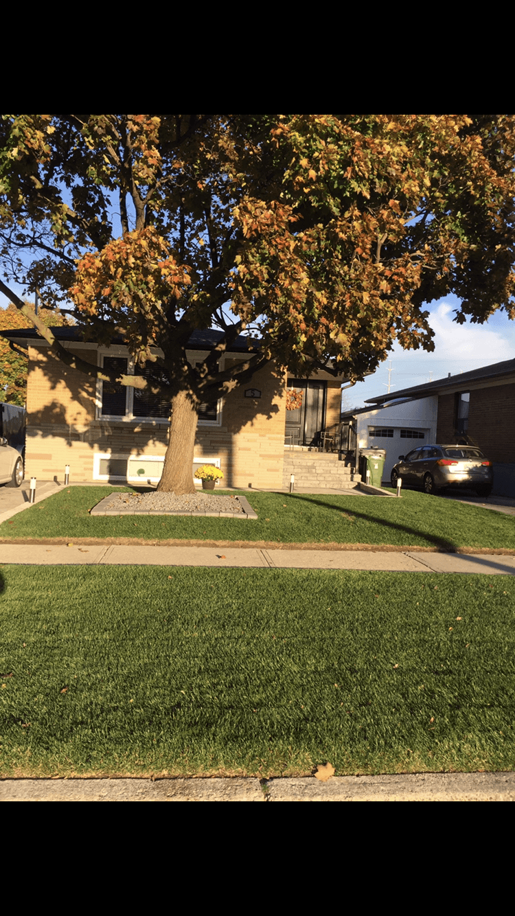 Cleanup & General project 15 in Scarborough — Dawn Till Dusk Landscaping