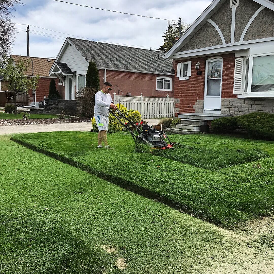 Cleanup & General project 26 in Scarborough — Dawn Till Dusk Landscaping