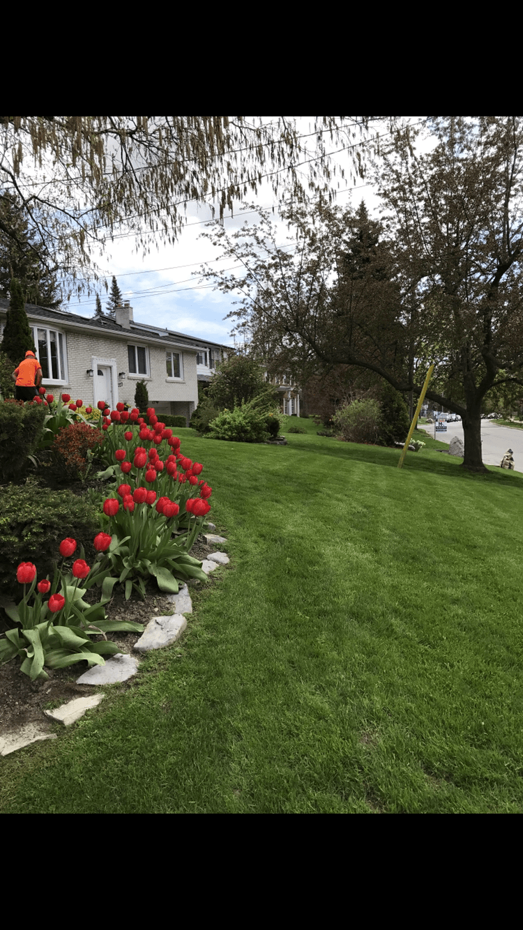 Cleanup & General project 33 in Scarborough — Dawn Till Dusk Landscaping