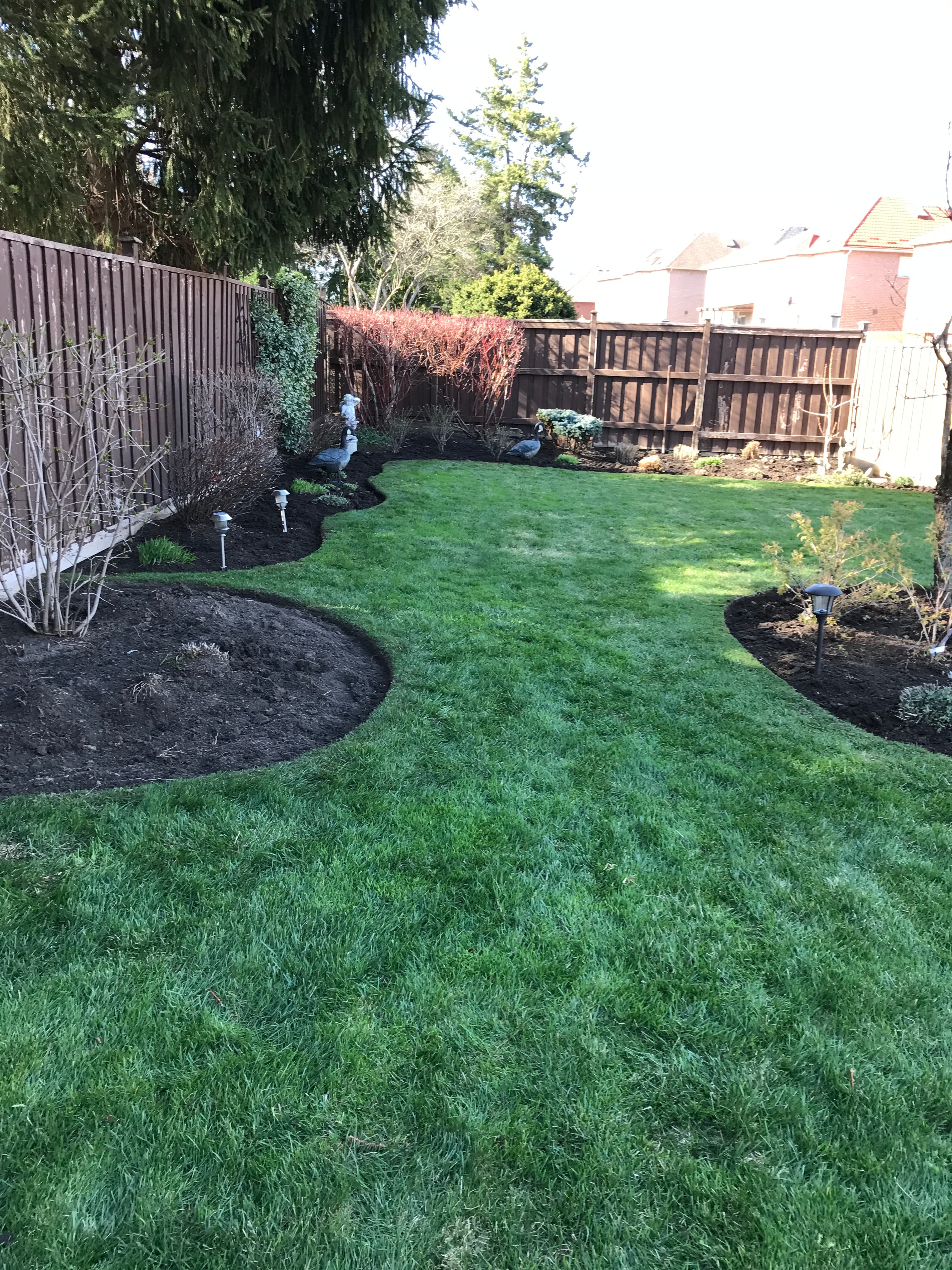 Cleanup & General project 41 in Scarborough — Dawn Till Dusk Landscaping
