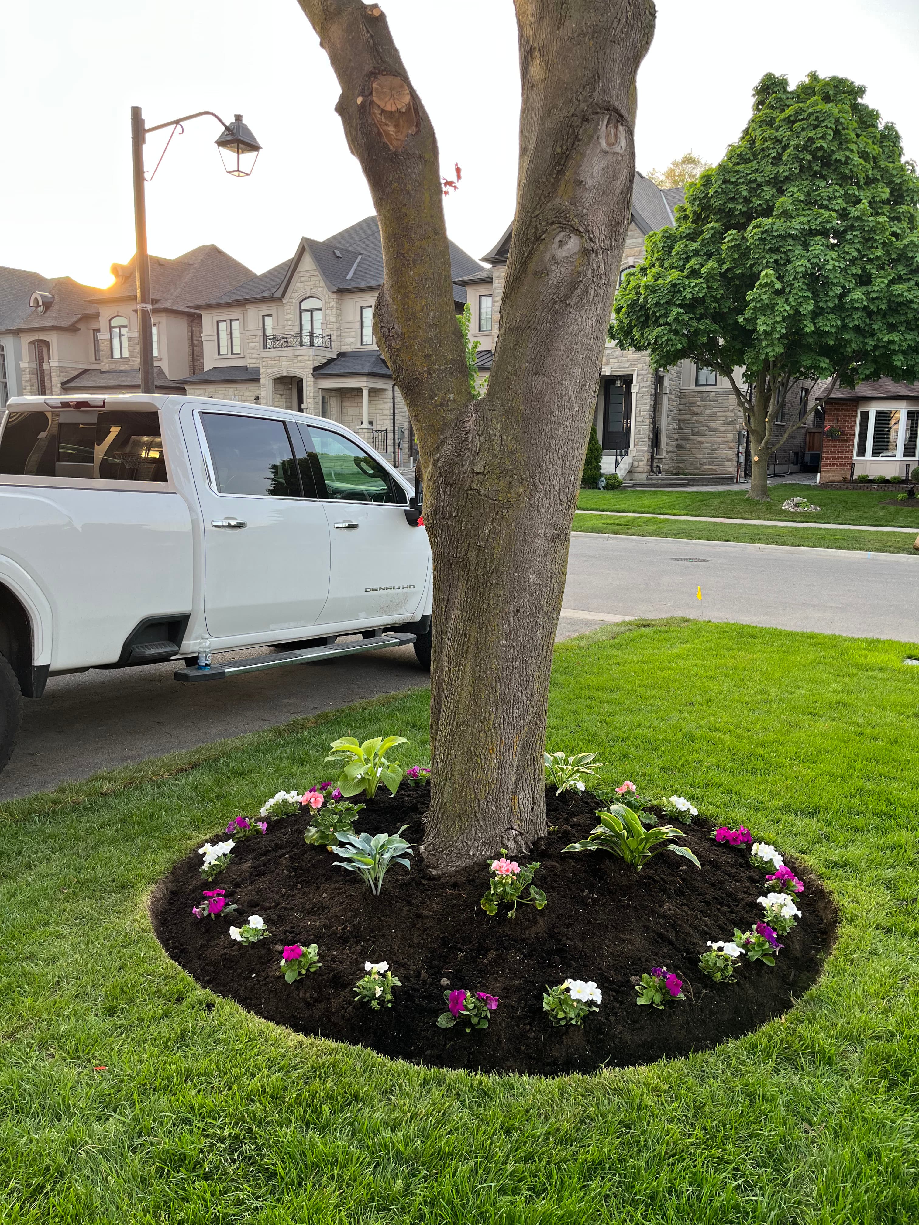 Garden & Plant Services project 1 in Scarborough — Dawn Till Dusk Landscaping