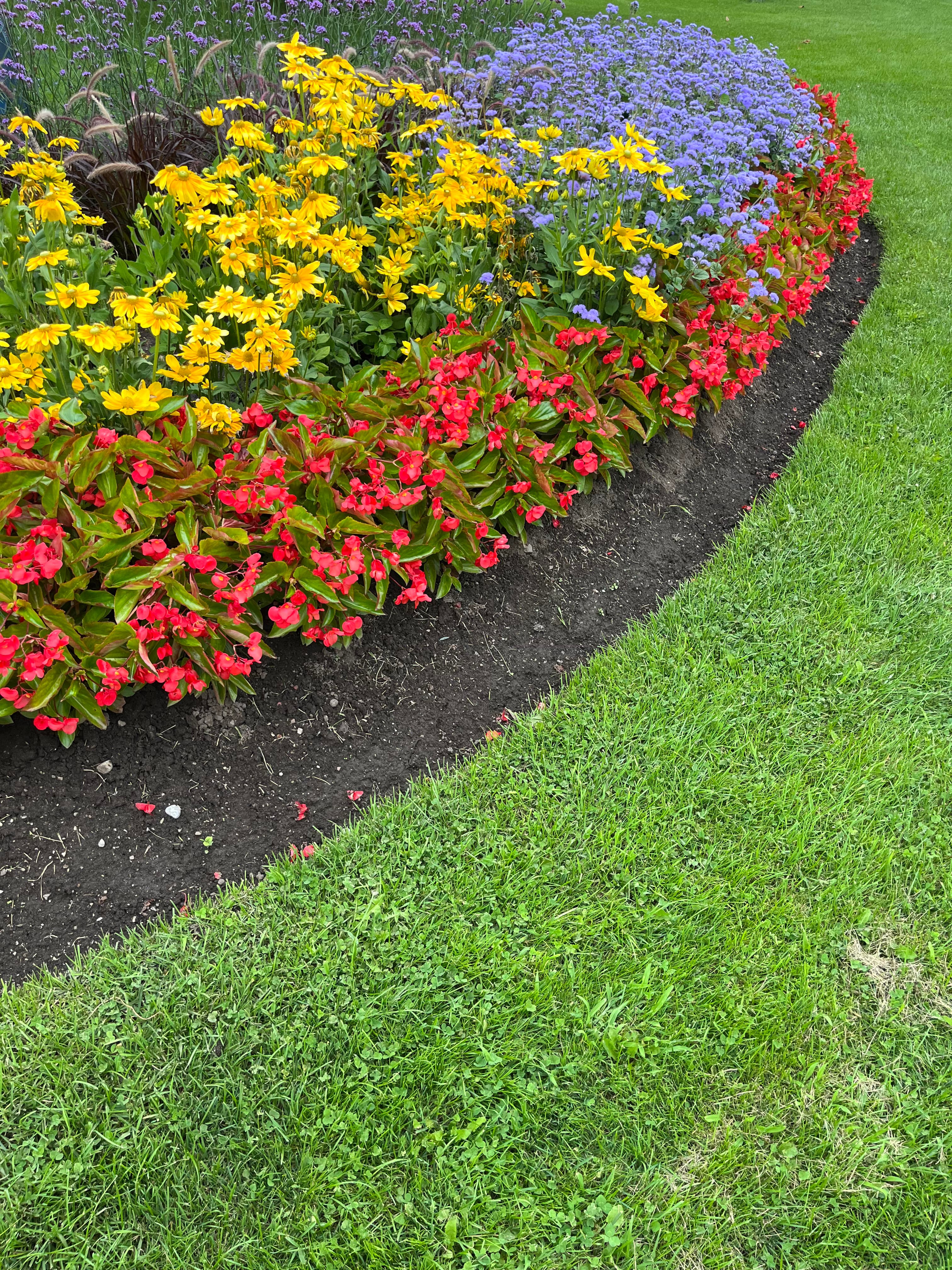 Garden & Plant Services project 2 in Scarborough — Dawn Till Dusk Landscaping