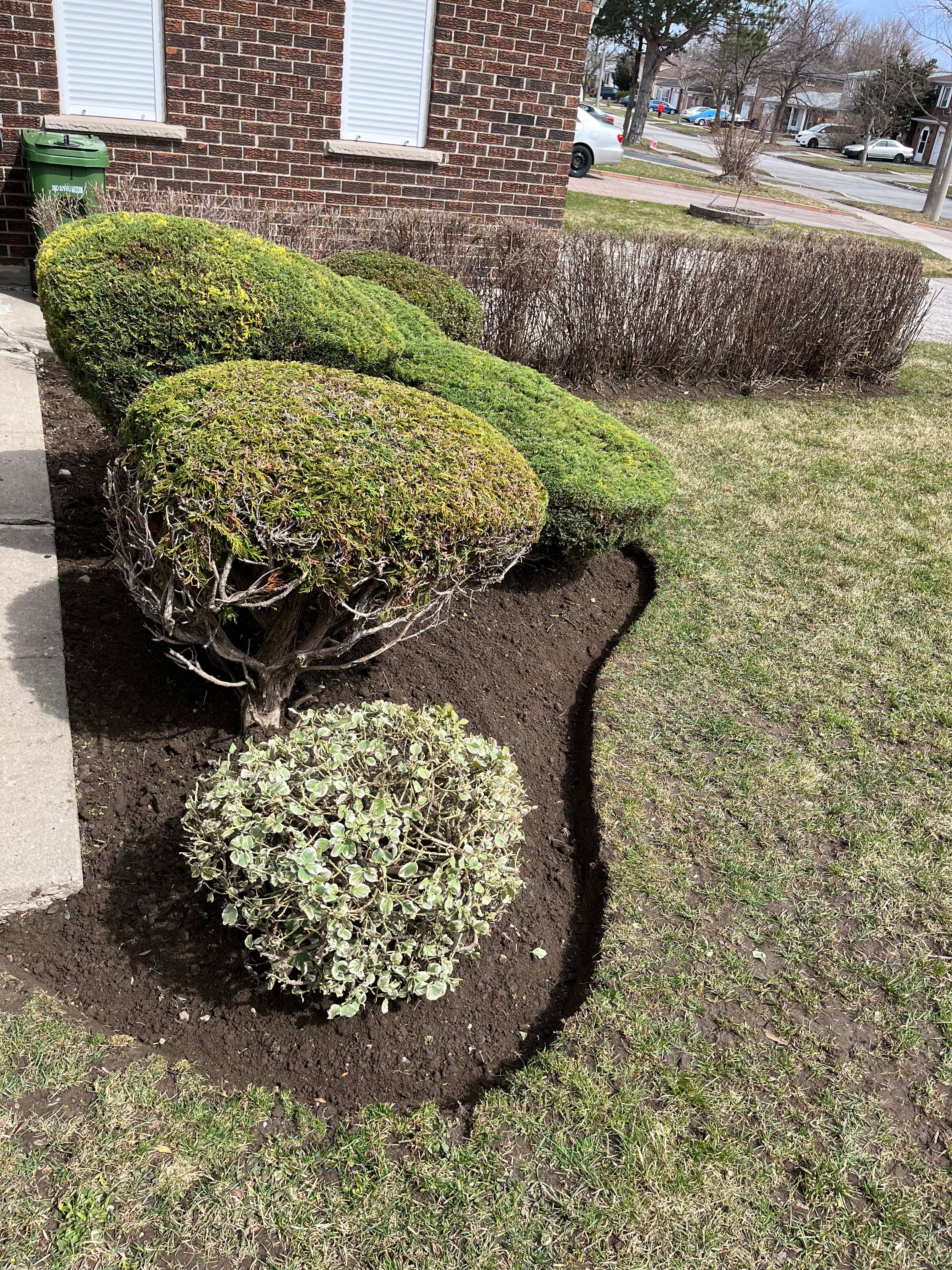 Garden & Plant Services project 5 in Scarborough — Dawn Till Dusk Landscaping