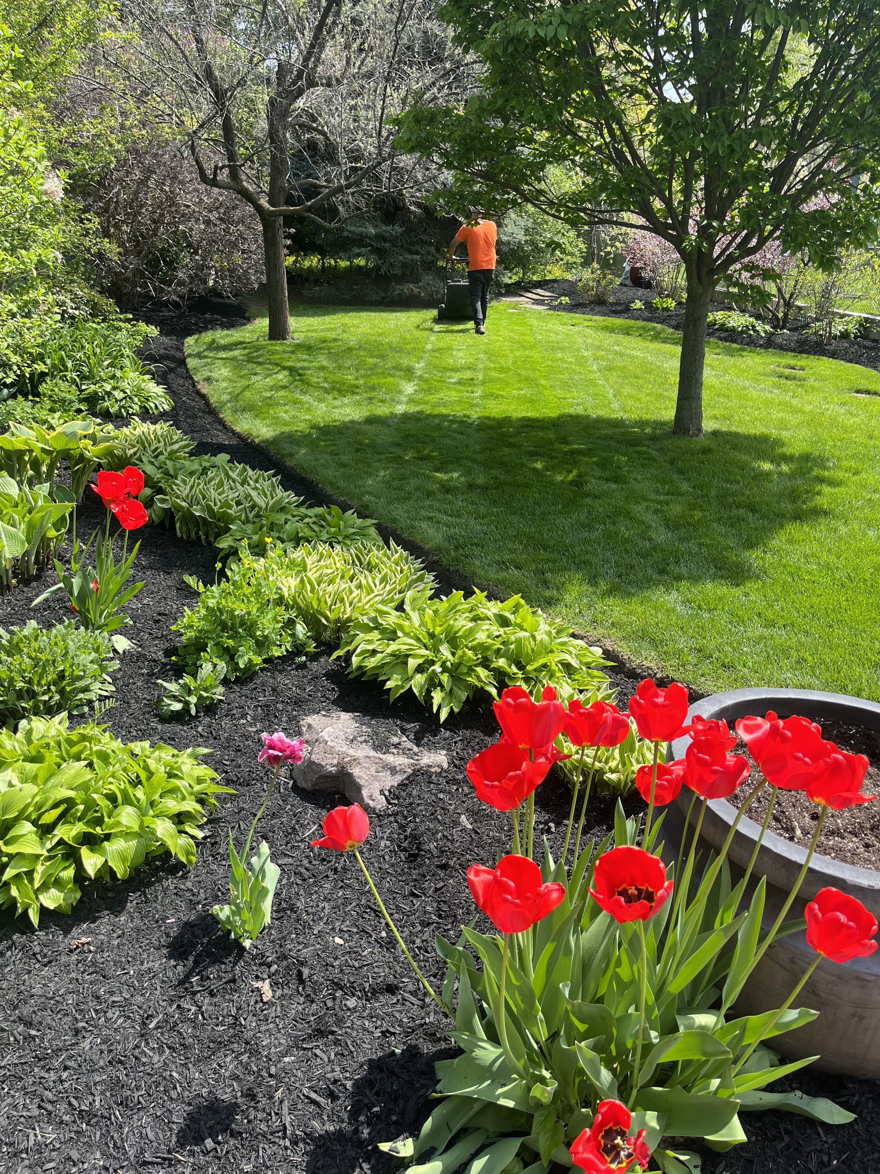Garden & Plant Services project 6 in Scarborough — Dawn Till Dusk Landscaping