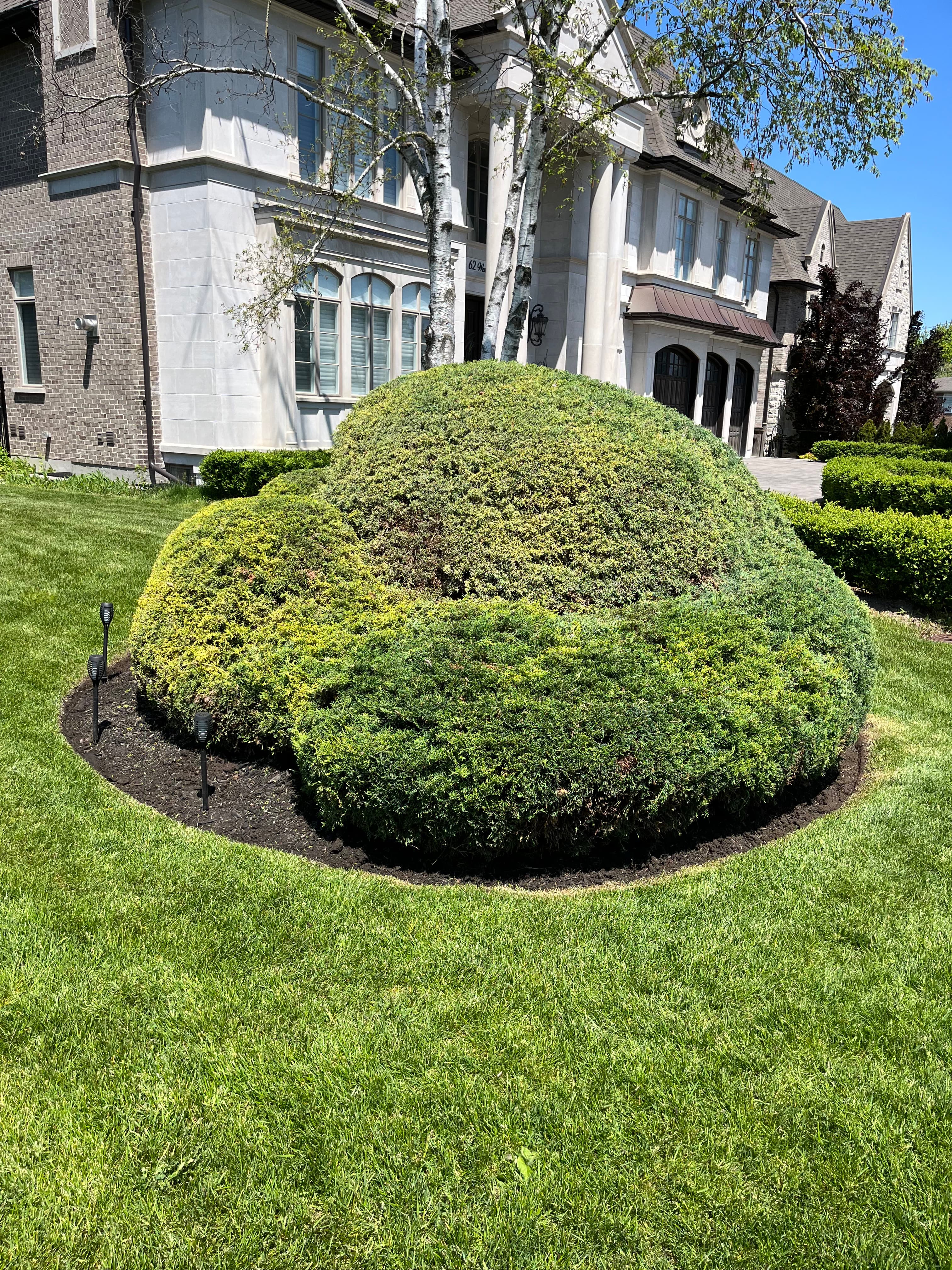 Garden & Plant Services project 10 in Scarborough — Dawn Till Dusk Landscaping