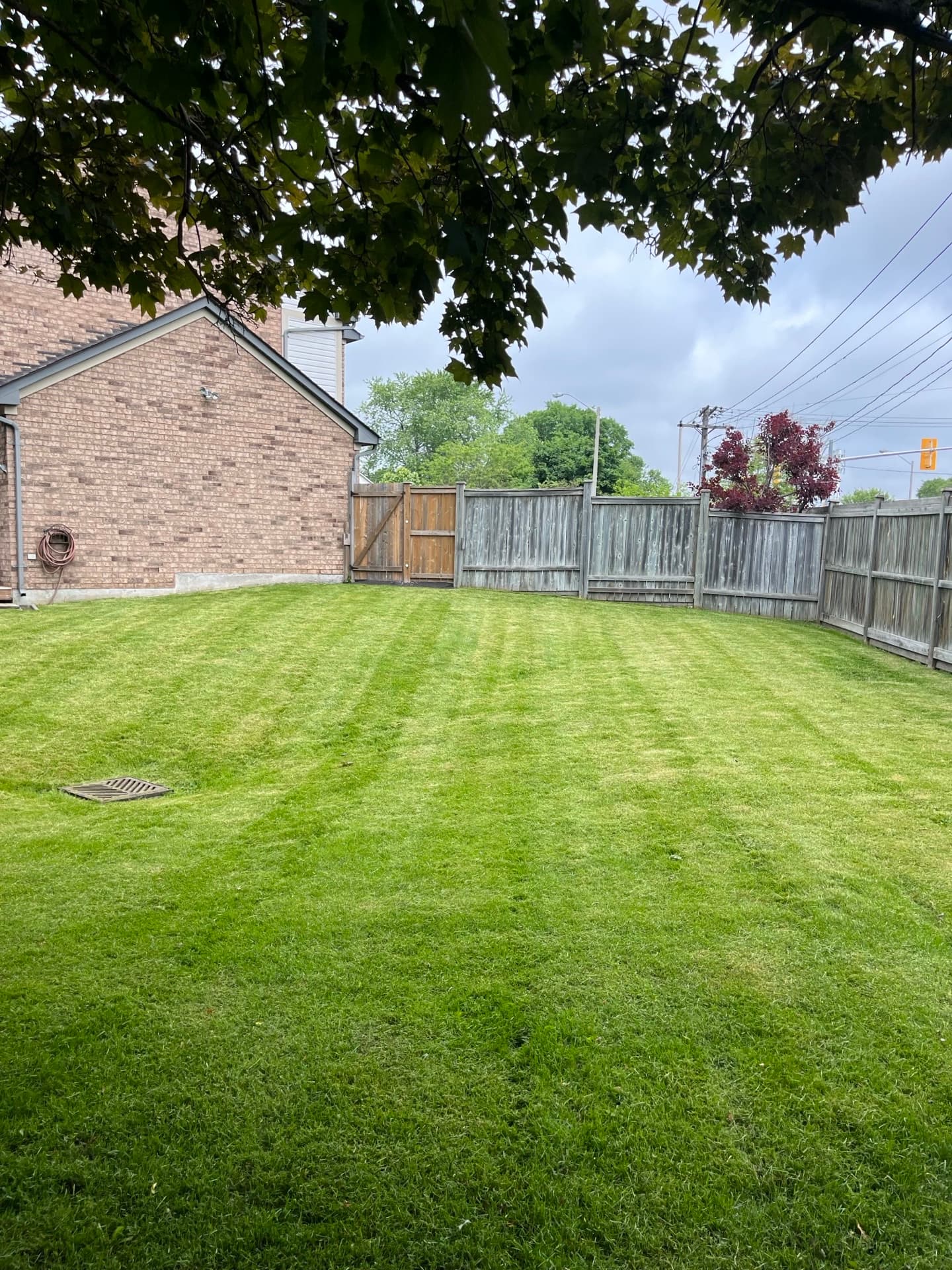 Lawn maintenance in Scarborough — weekly cut and edge service