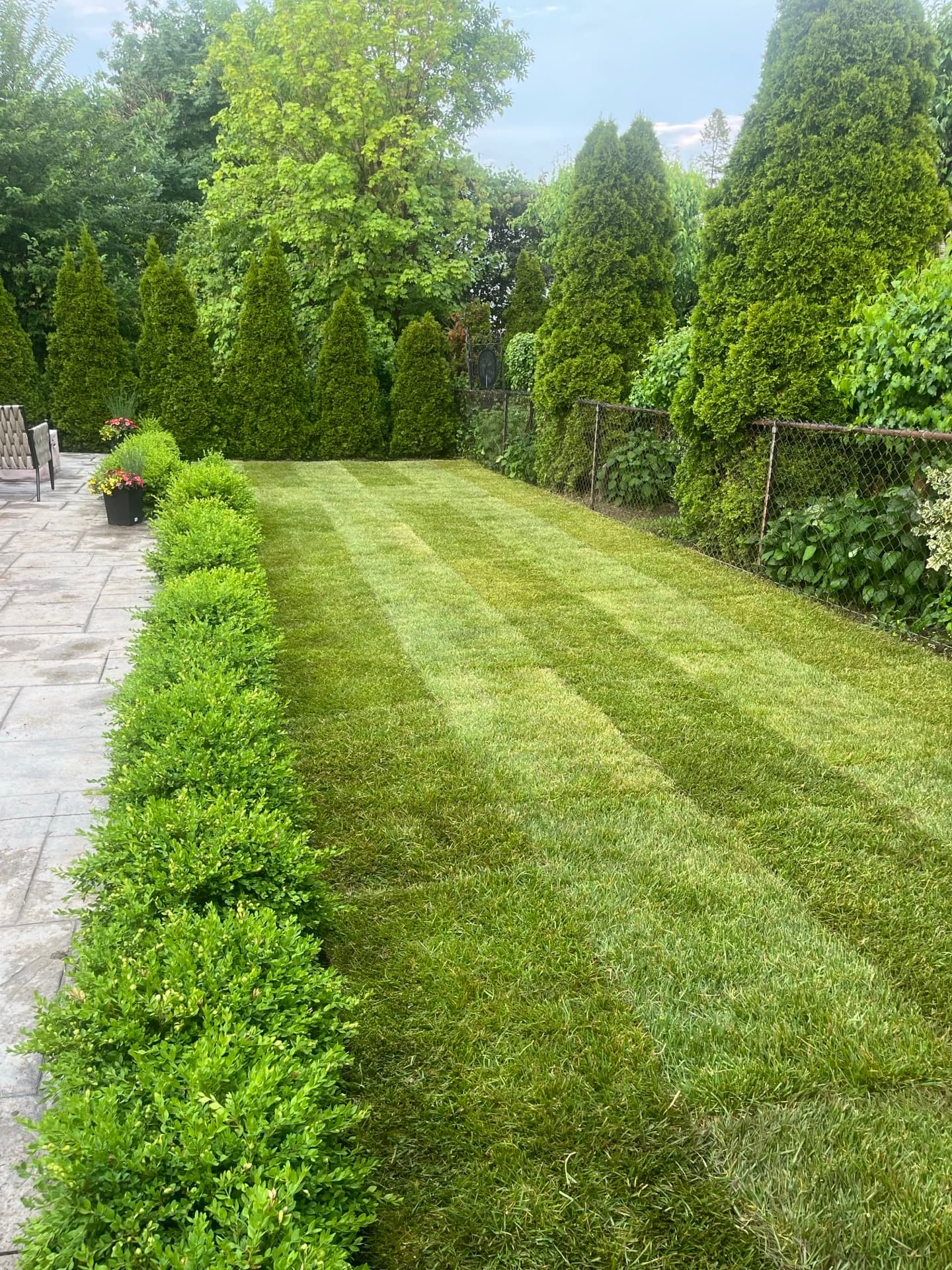 Snow plowing in North York — residential driveway clearing