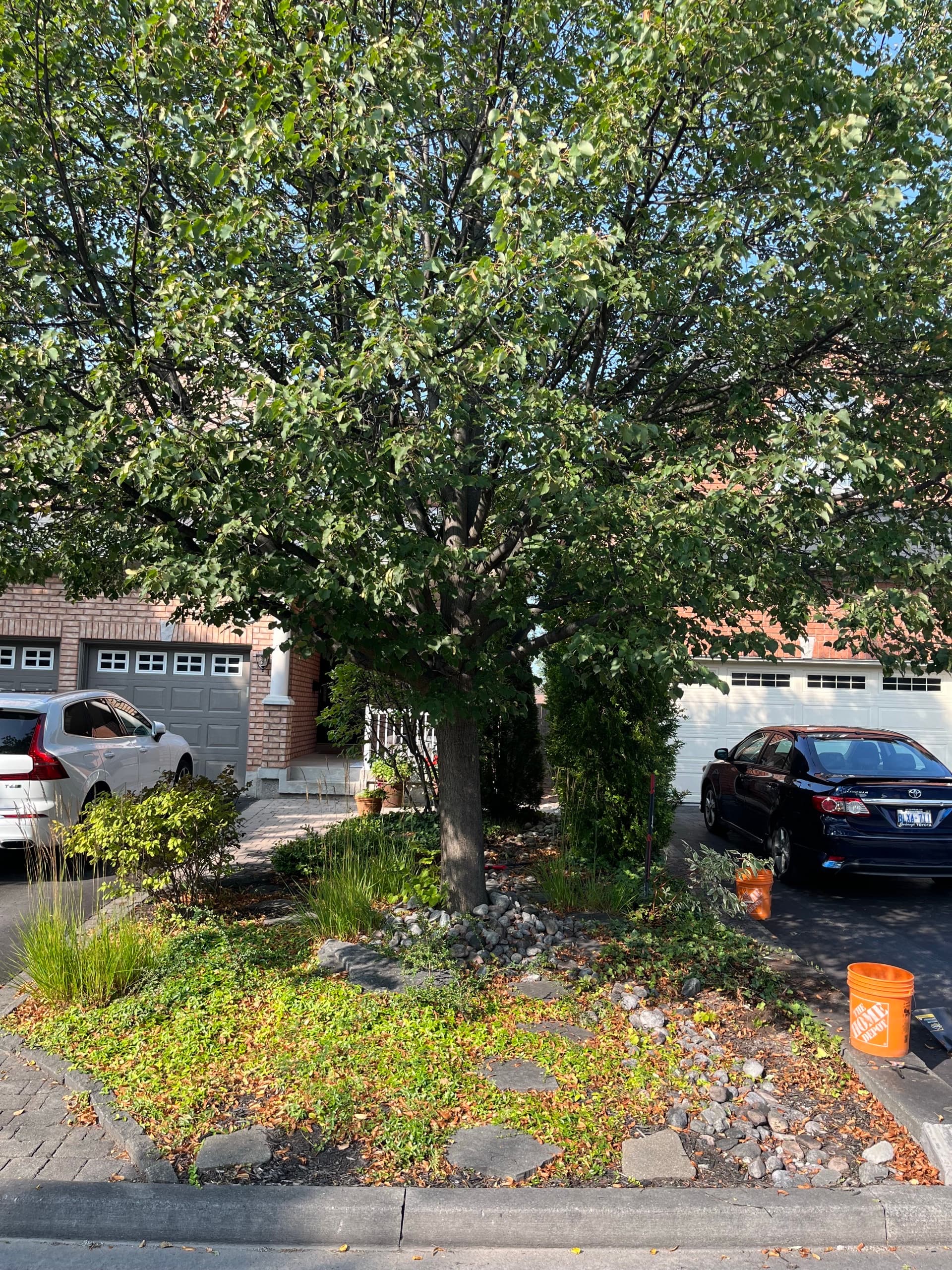 Backyard interlocking in Scarborough — custom patio design