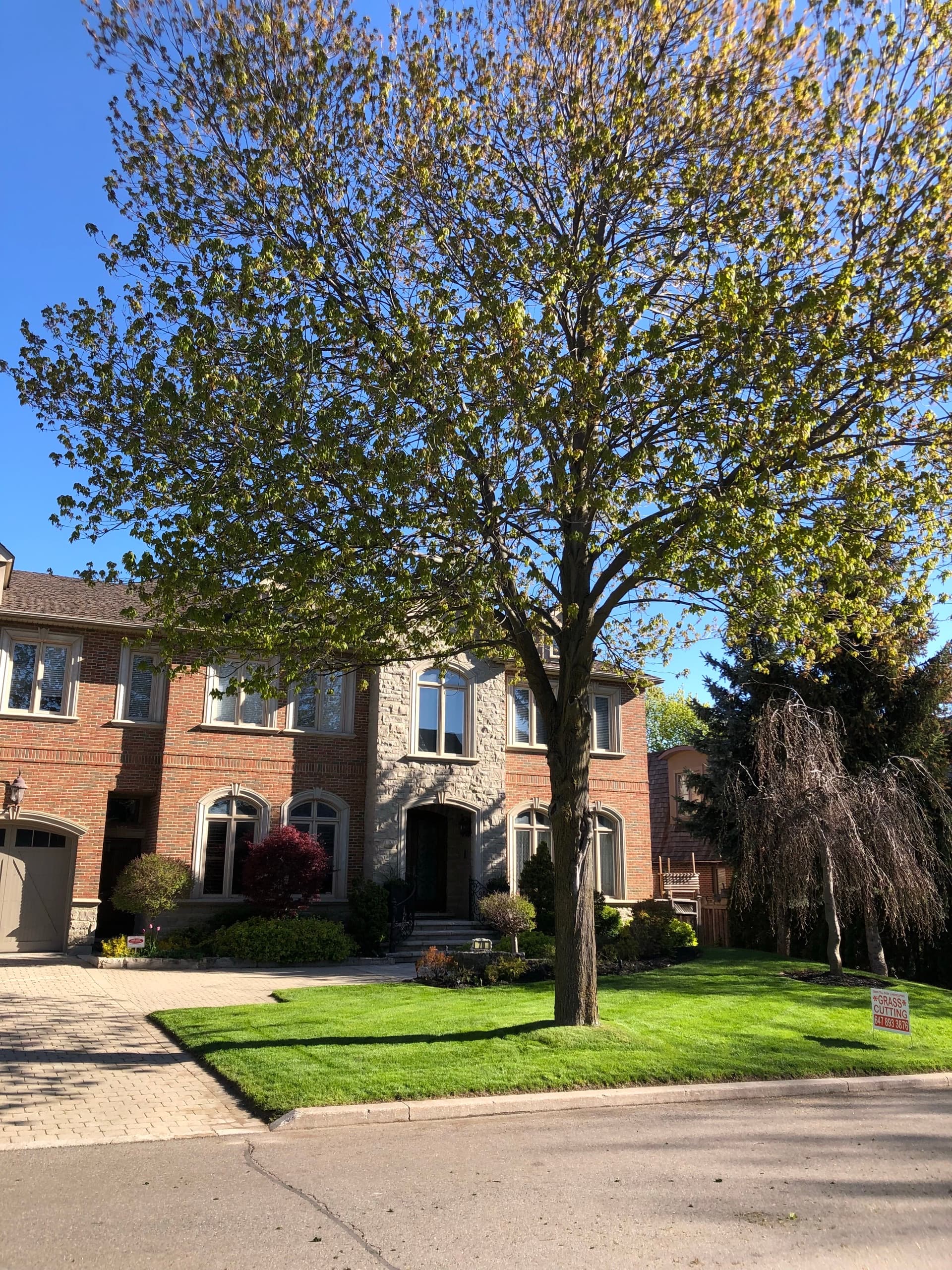 Perennial garden in North York — custom bed design by Dawn Till Dusk