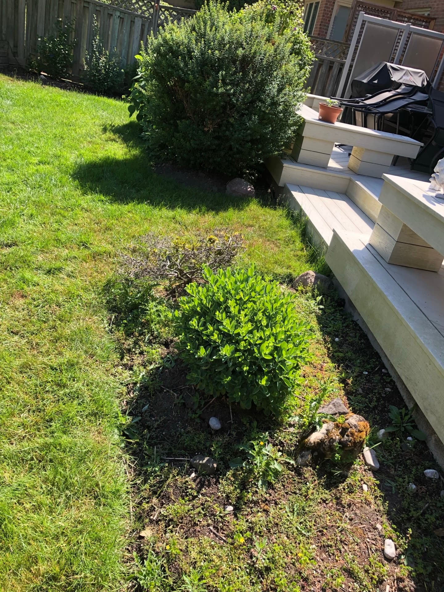 Landscape planting in Pickering — shrub and perennial installation