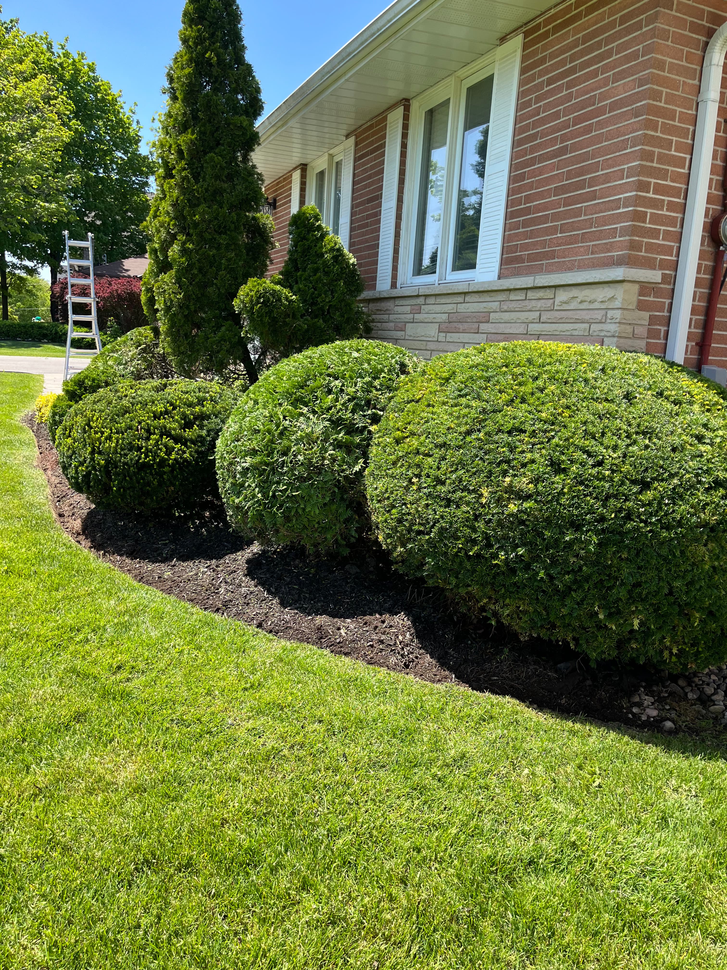 Healthy green lawn in Scarborough maintained by Dawn Till Dusk Landscaping during spring season