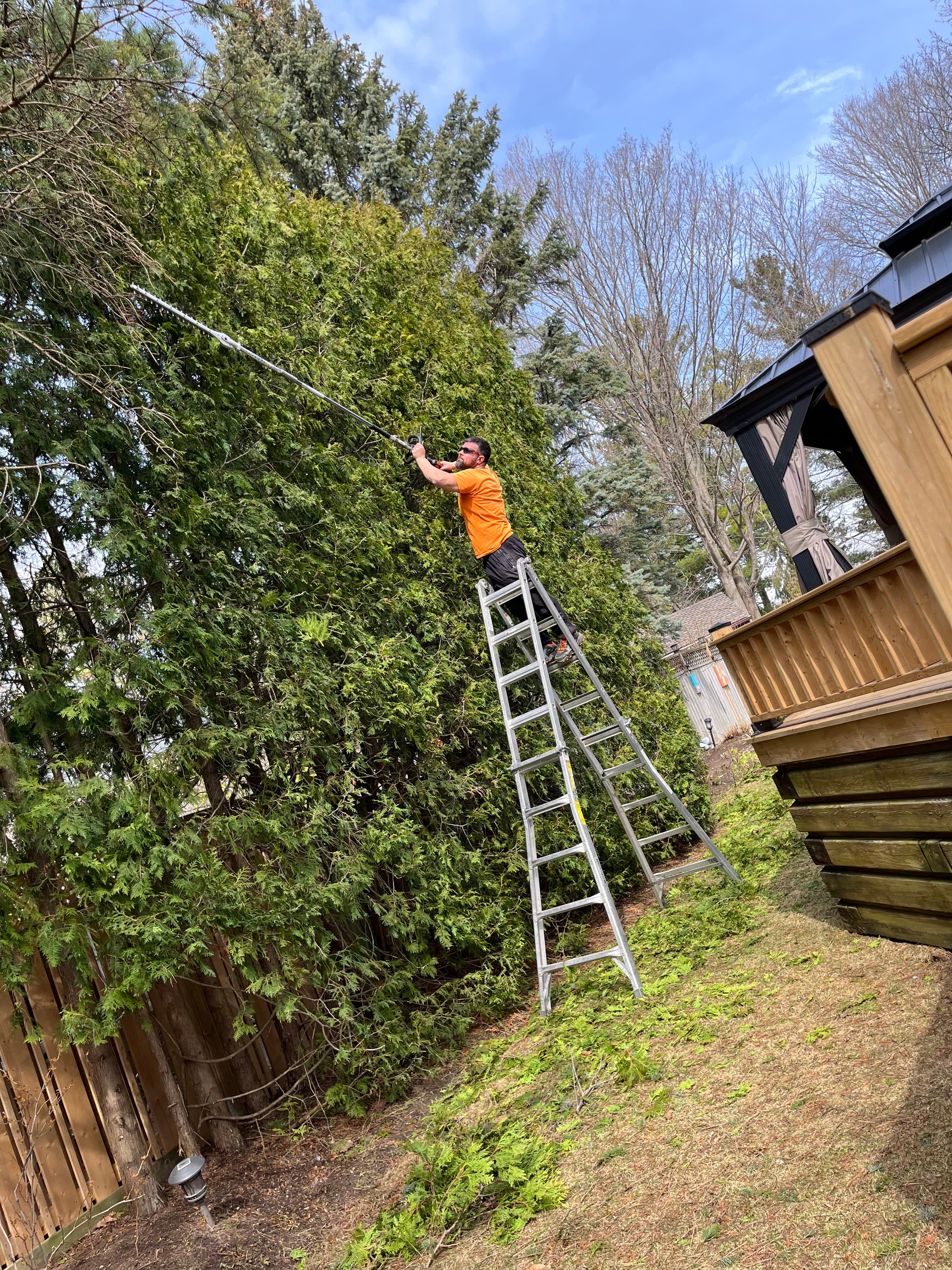 Tree Removal & Stump Grinding project 1 in Scarborough — Dawn Till Dusk Landscaping