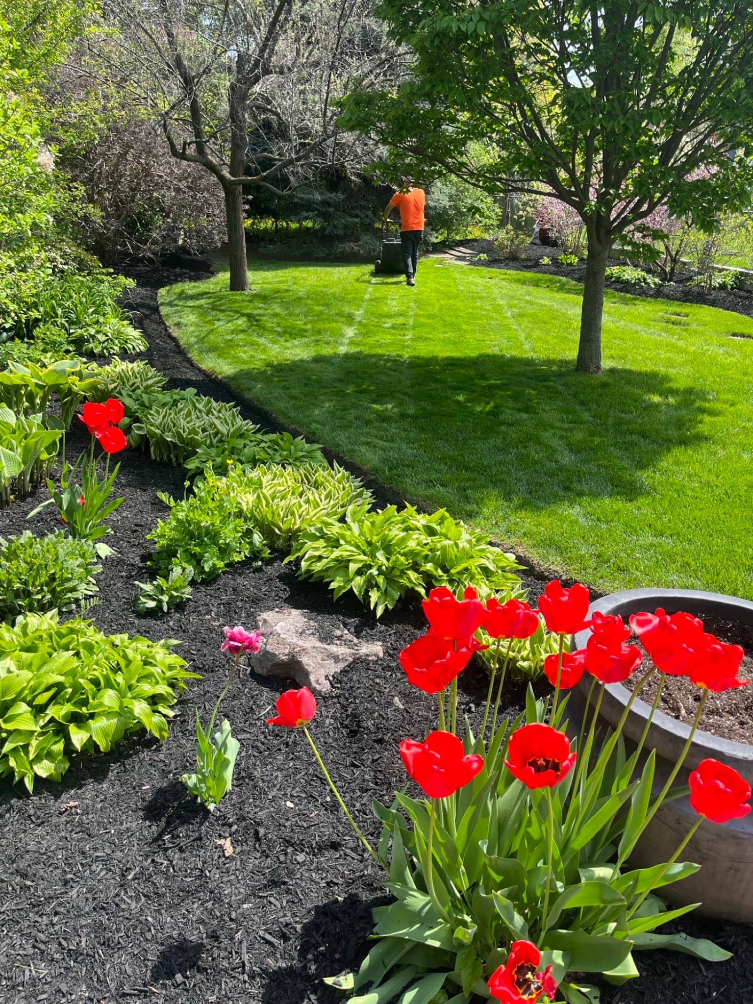 Garden & Plant Services service in Scarborough, Dawn Till Dusk Landscaping Garden & Plant Services service in Scarborough, Dawn Till Dusk Landscaping
