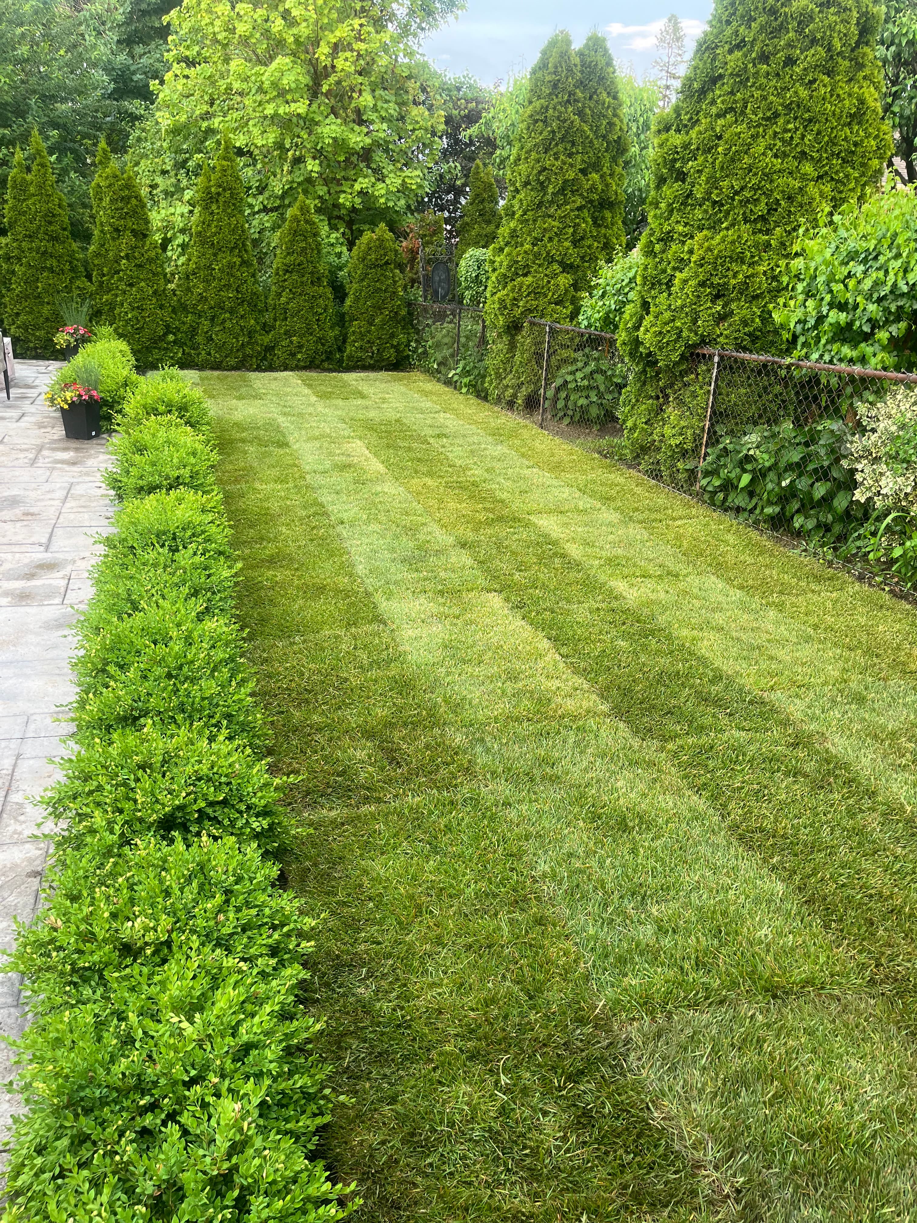 Cleanup & General project 9 in Scarborough — Dawn Till Dusk Landscaping