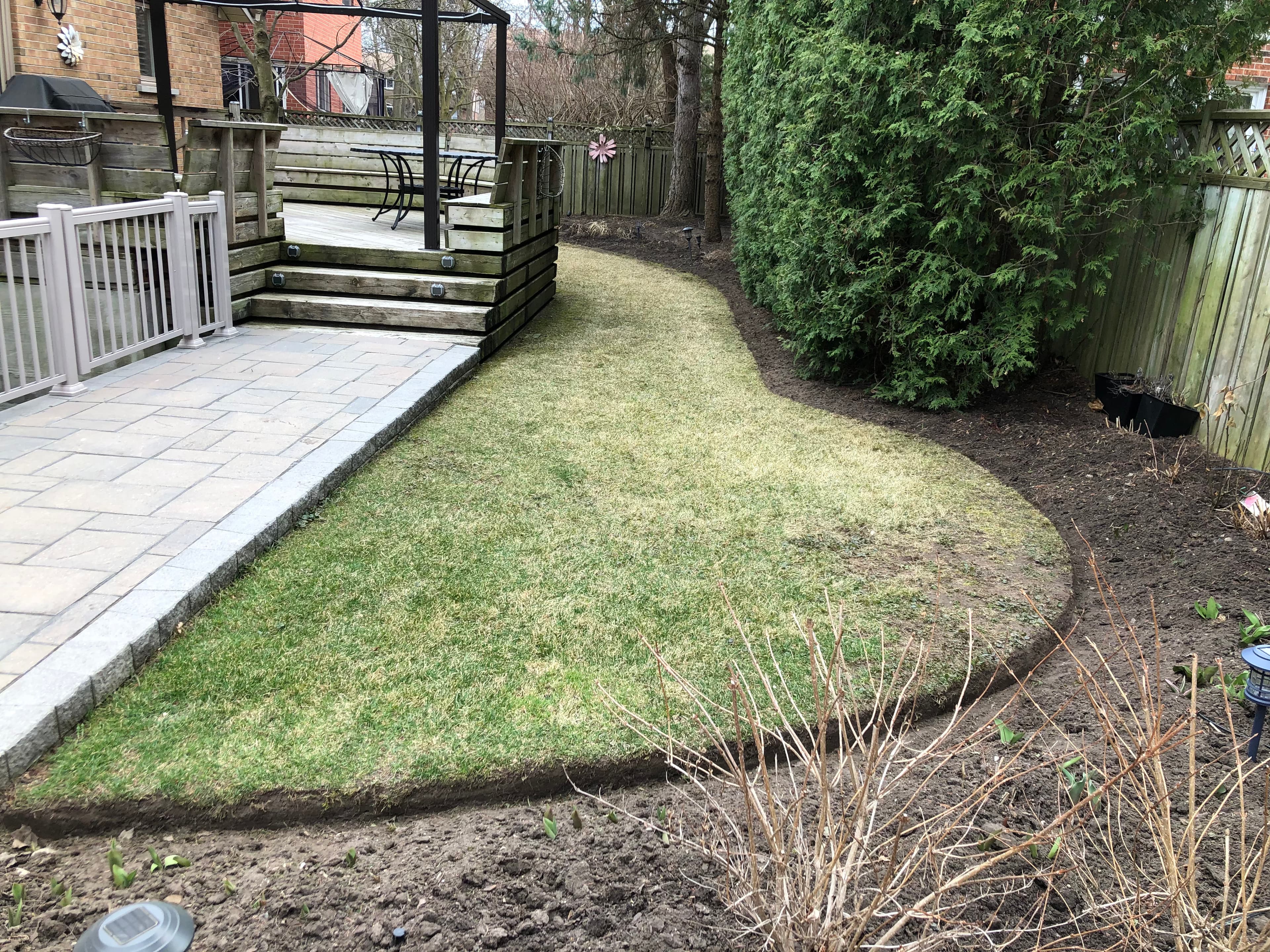 Cleanup & General project 18 in Scarborough — Dawn Till Dusk Landscaping