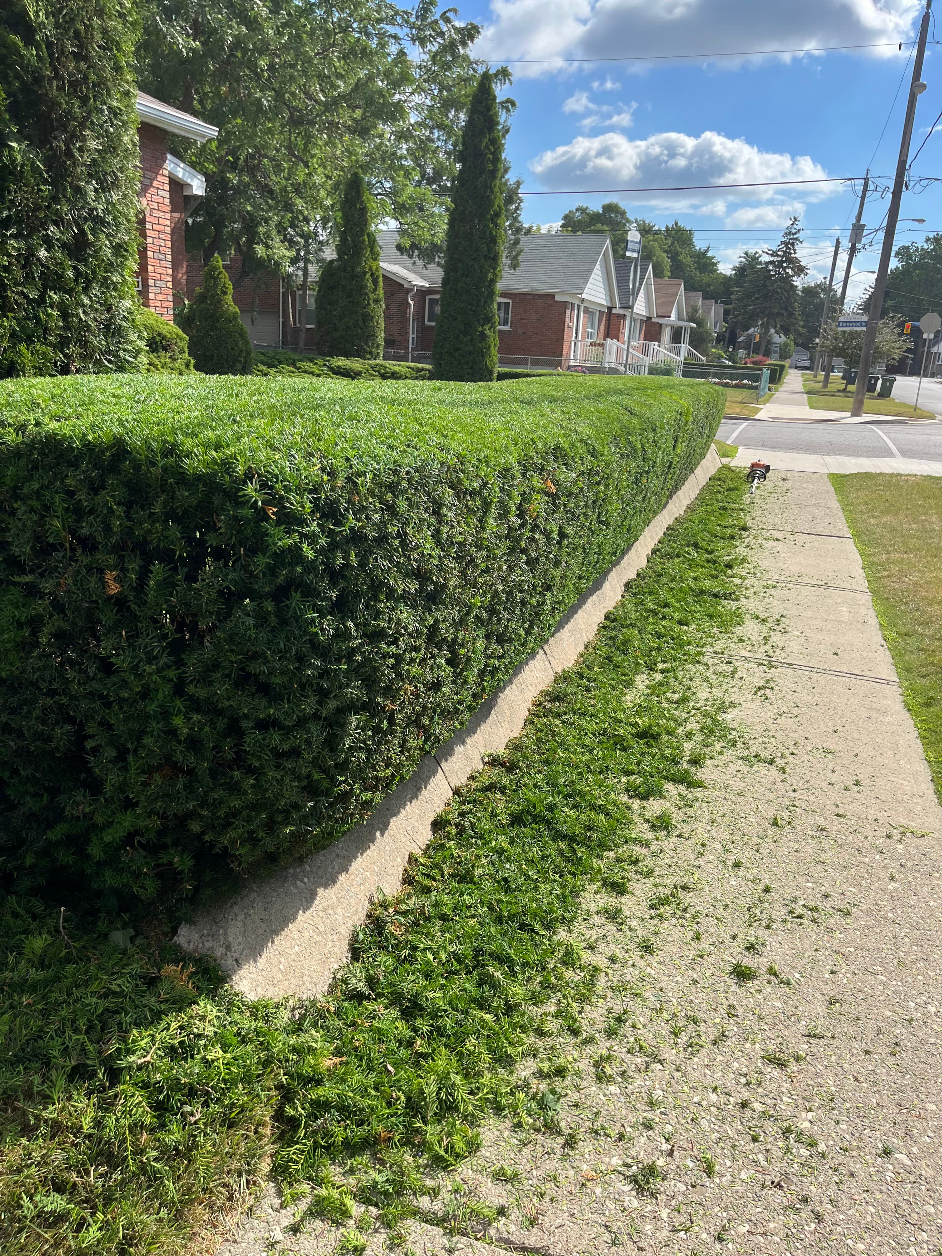 Cleanup & General project 19 in Scarborough — Dawn Till Dusk Landscaping