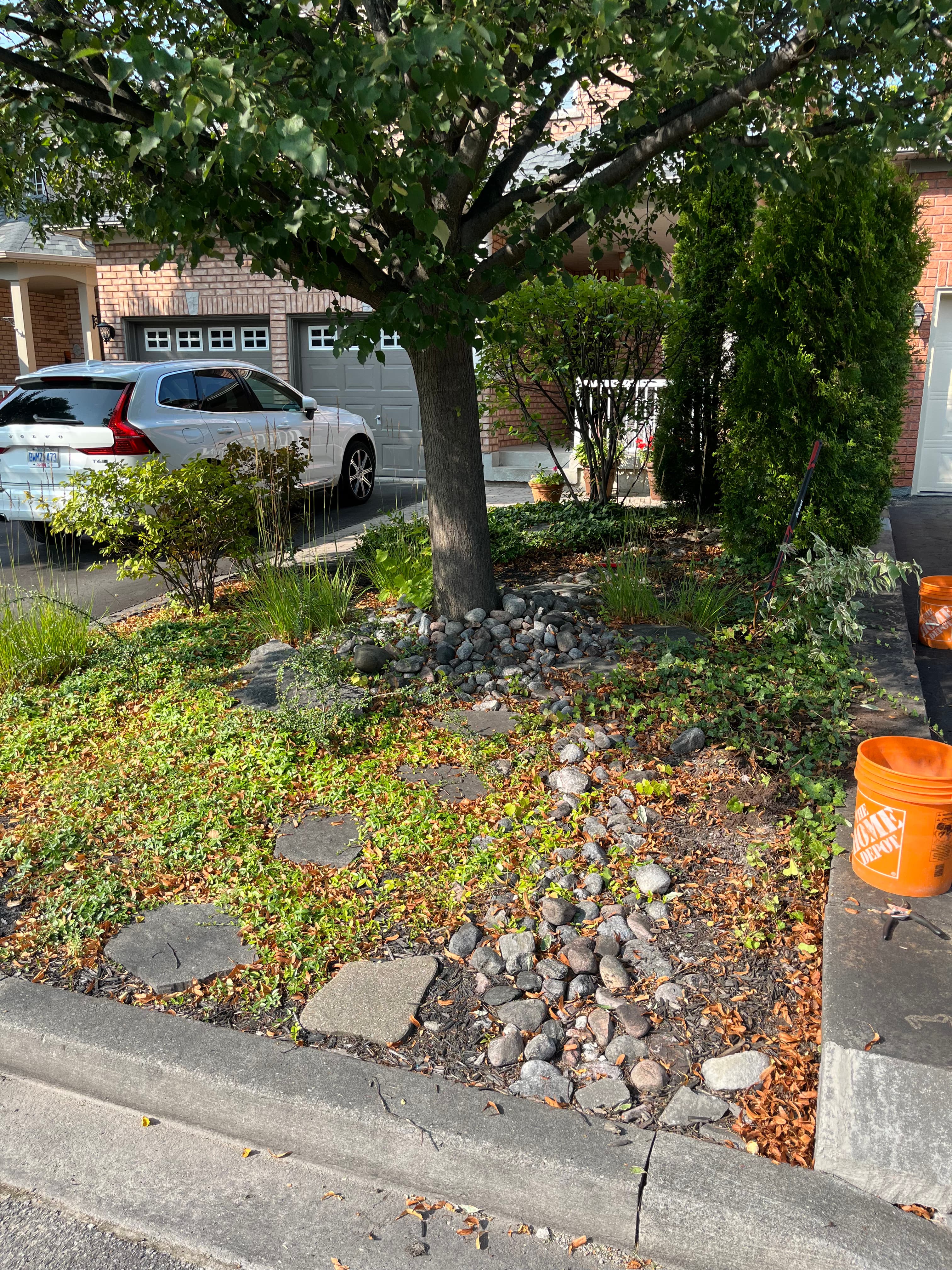 Cleanup & General project 21 in Scarborough — Dawn Till Dusk Landscaping