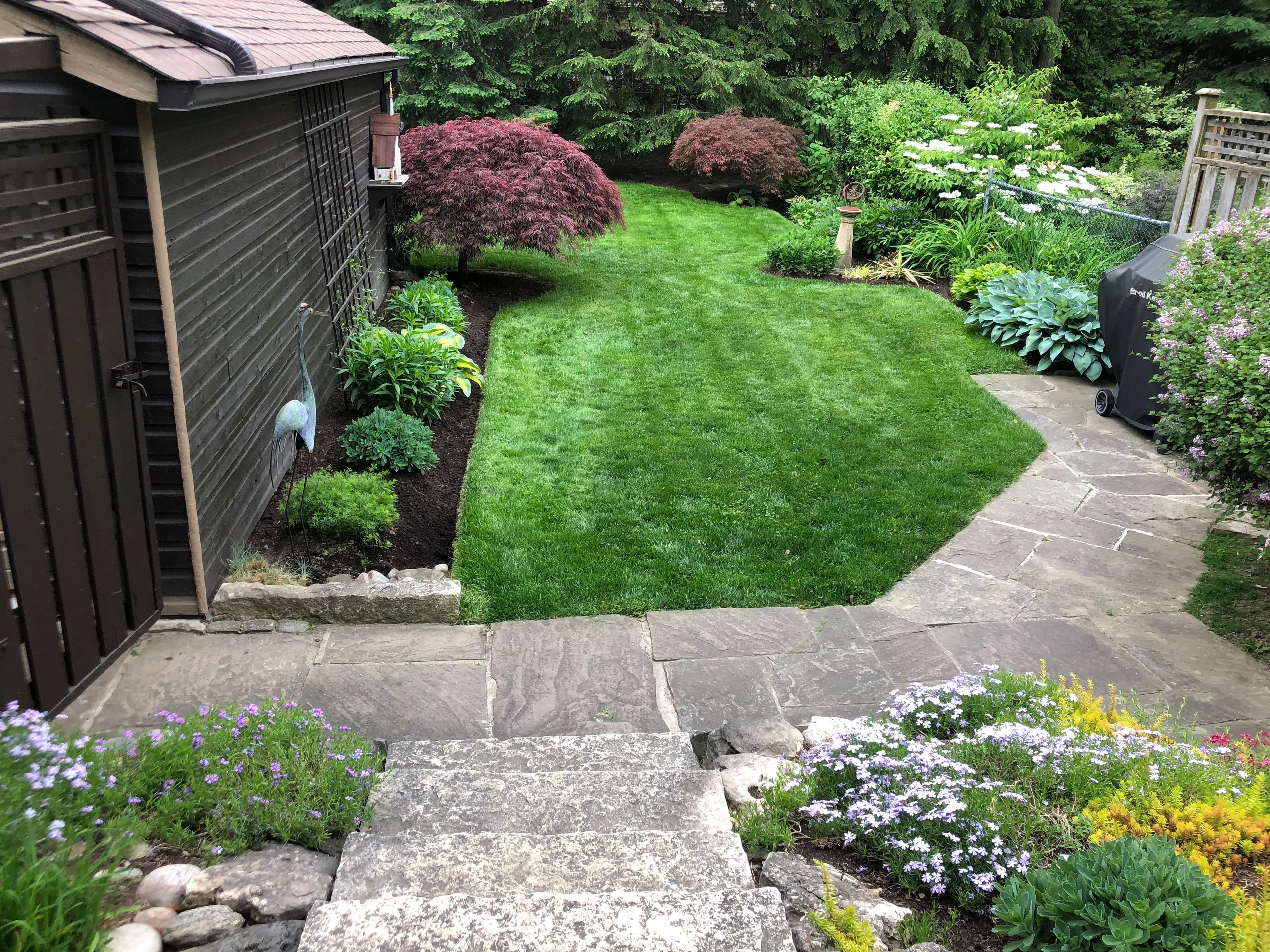 Cleanup & General project 25 in Scarborough — Dawn Till Dusk Landscaping