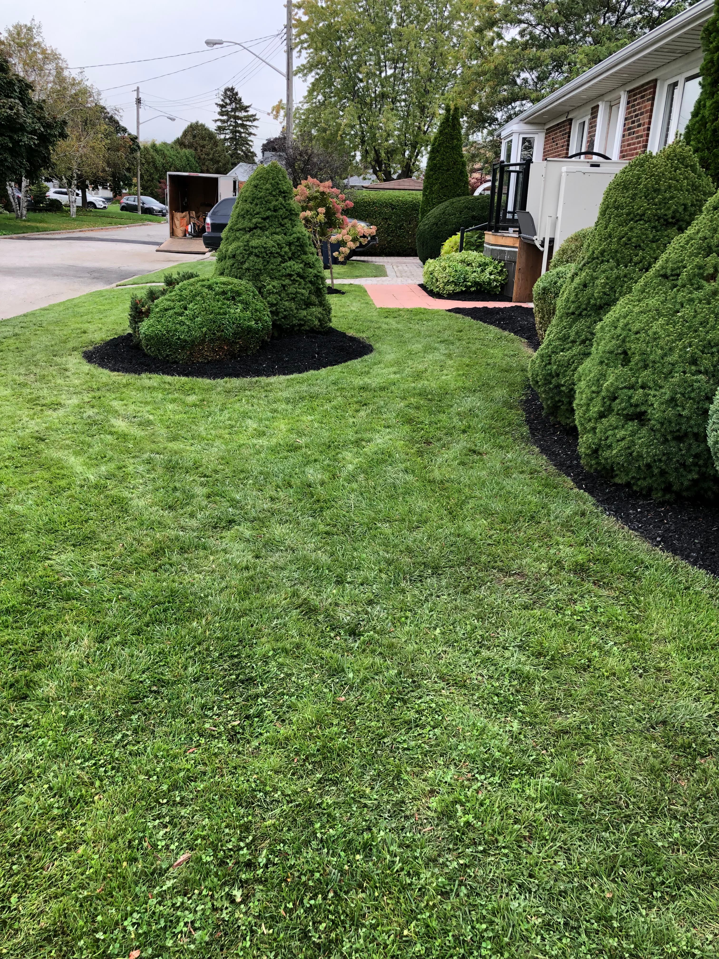 Cleanup & General project 31 in Scarborough — Dawn Till Dusk Landscaping