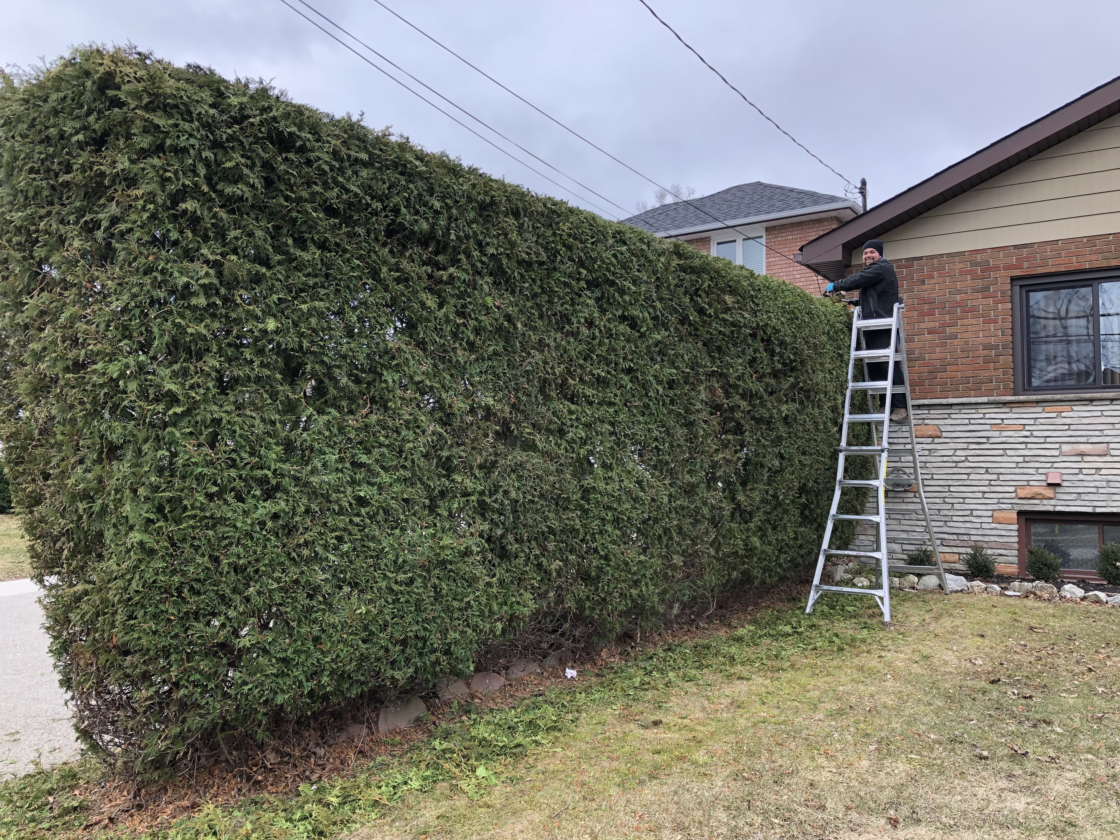 Cleanup & General project 35 in Scarborough — Dawn Till Dusk Landscaping