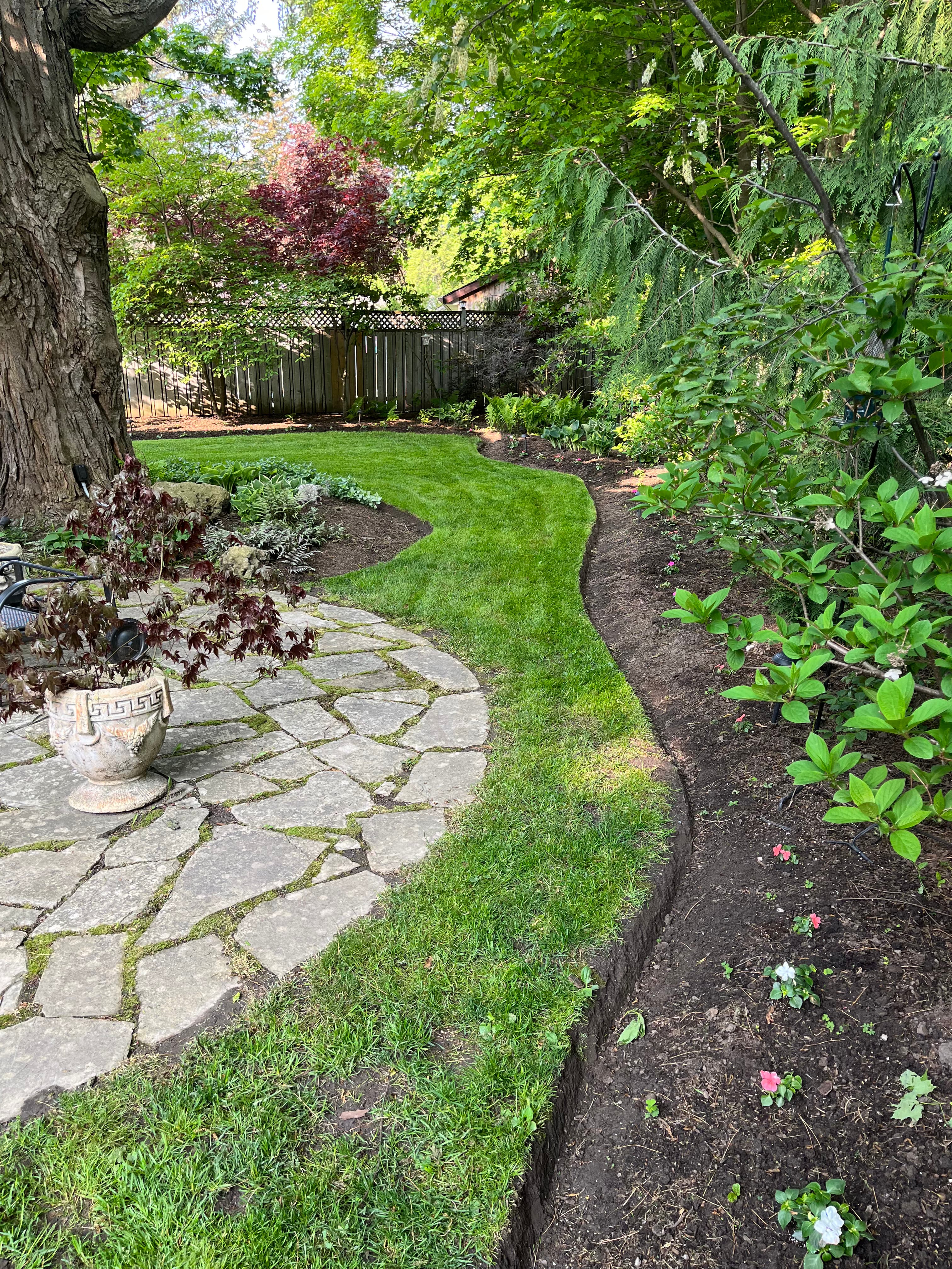 Cleanup & General project 48 in Scarborough — Dawn Till Dusk Landscaping