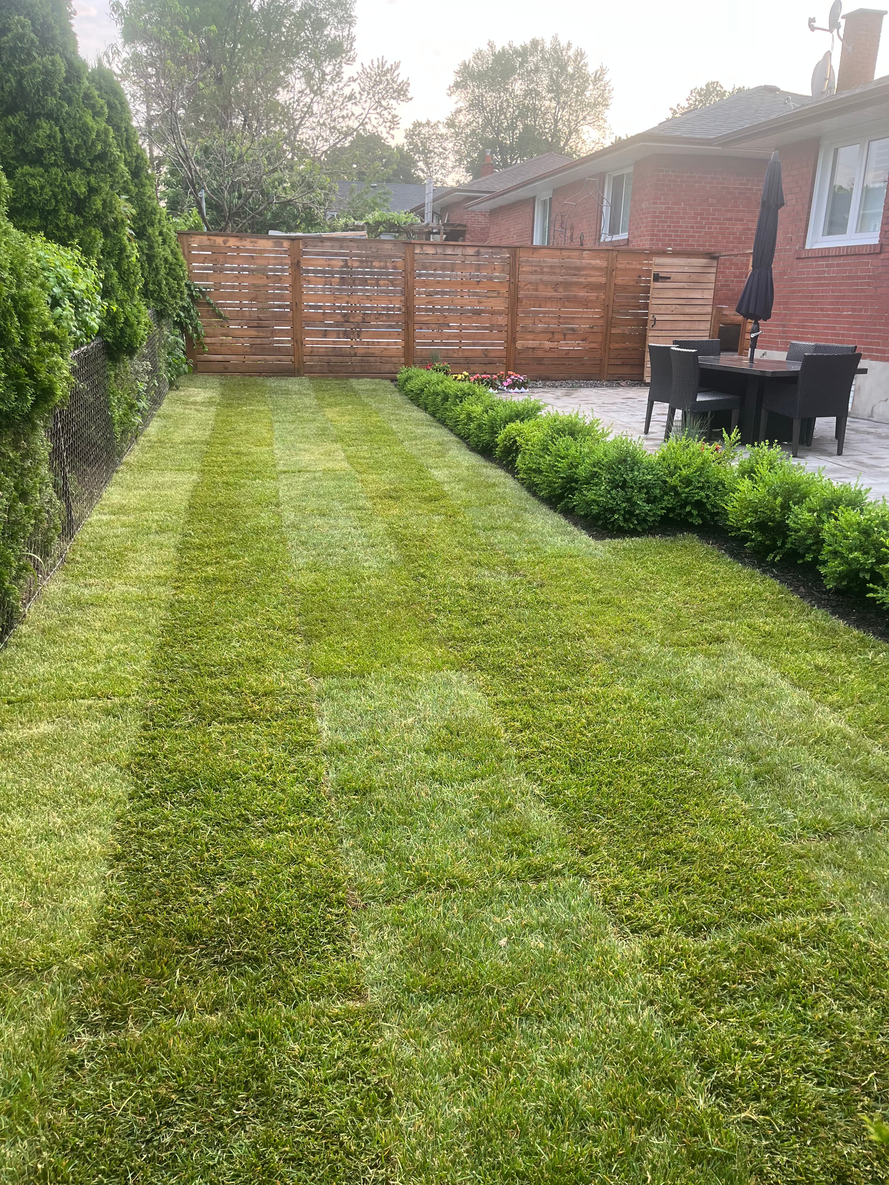 Premium Sod Installation project 2 in Scarborough — Dawn Till Dusk Landscaping
