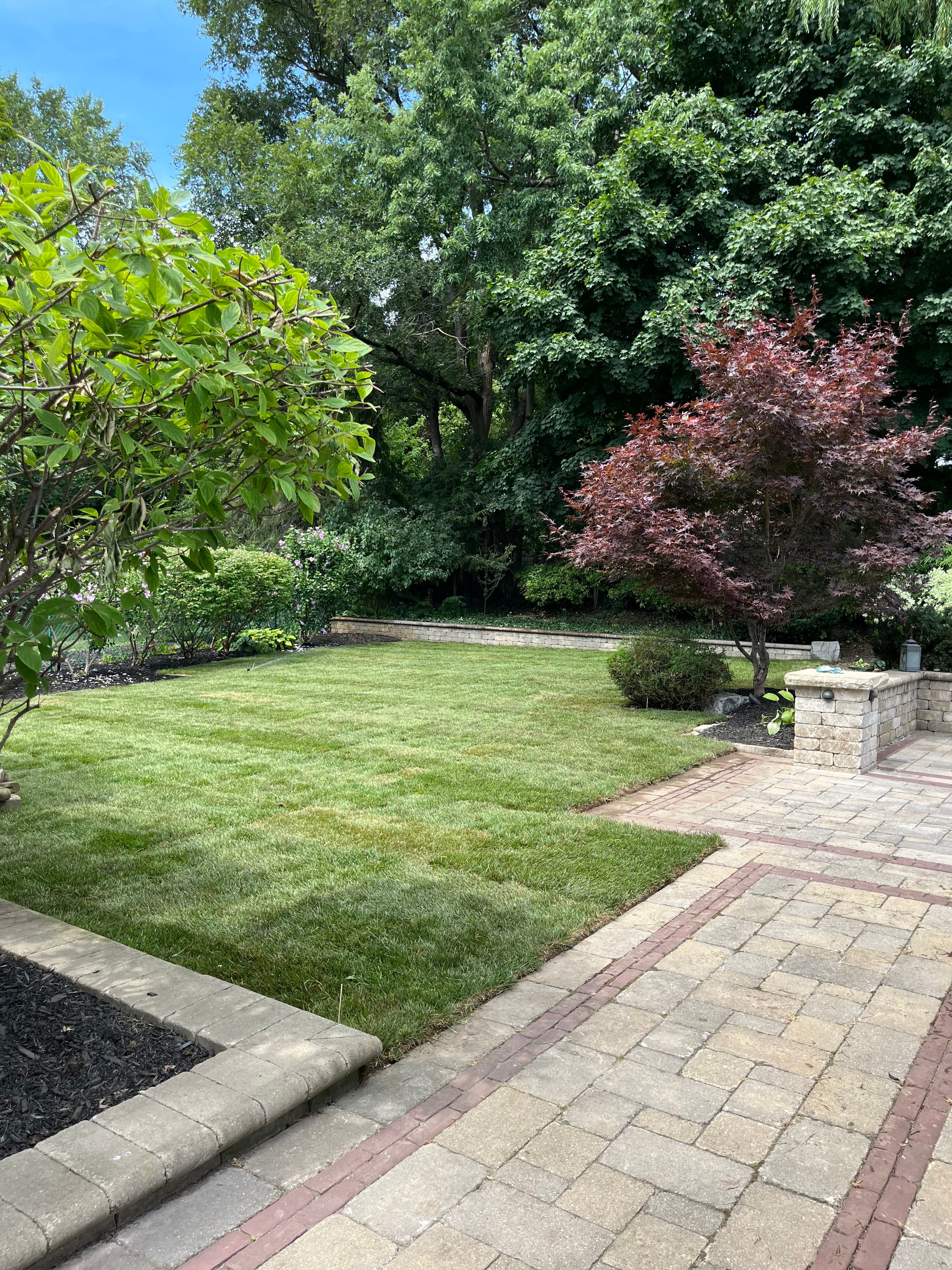 Premium Sod Installation project 4 in Scarborough — Dawn Till Dusk Landscaping